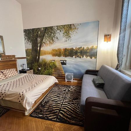 Apartament Ultracentral 2 Piata Muzeului Cluj-Napoca Eksteriør billede