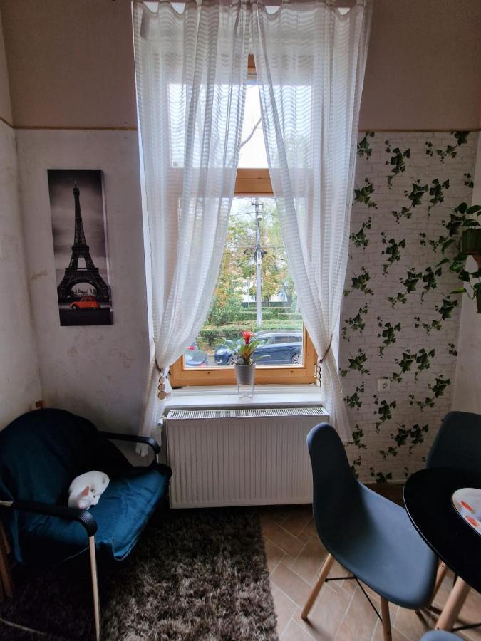 Apartament Ultracentral 2 Piata Muzeului Cluj-Napoca Eksteriør billede