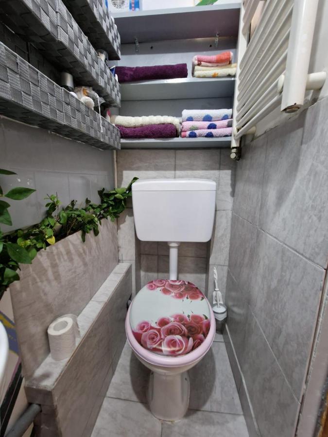 Apartament Ultracentral 2 Piata Muzeului Cluj-Napoca Eksteriør billede