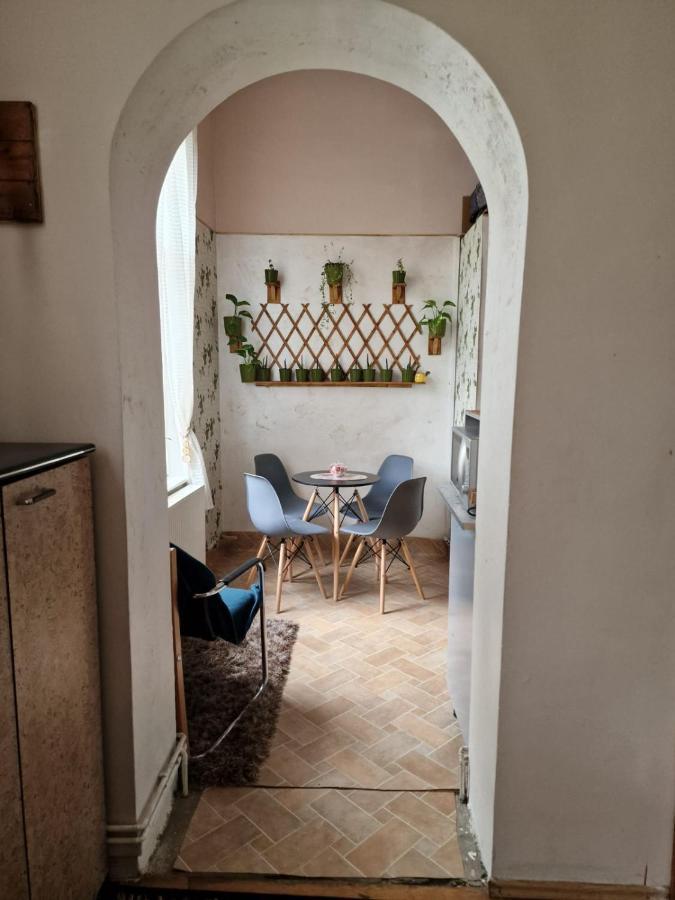 Apartament Ultracentral 2 Piata Muzeului Cluj-Napoca Eksteriør billede