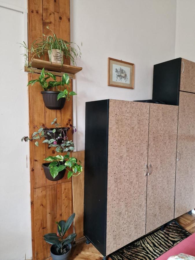 Apartament Ultracentral 2 Piata Muzeului Cluj-Napoca Eksteriør billede
